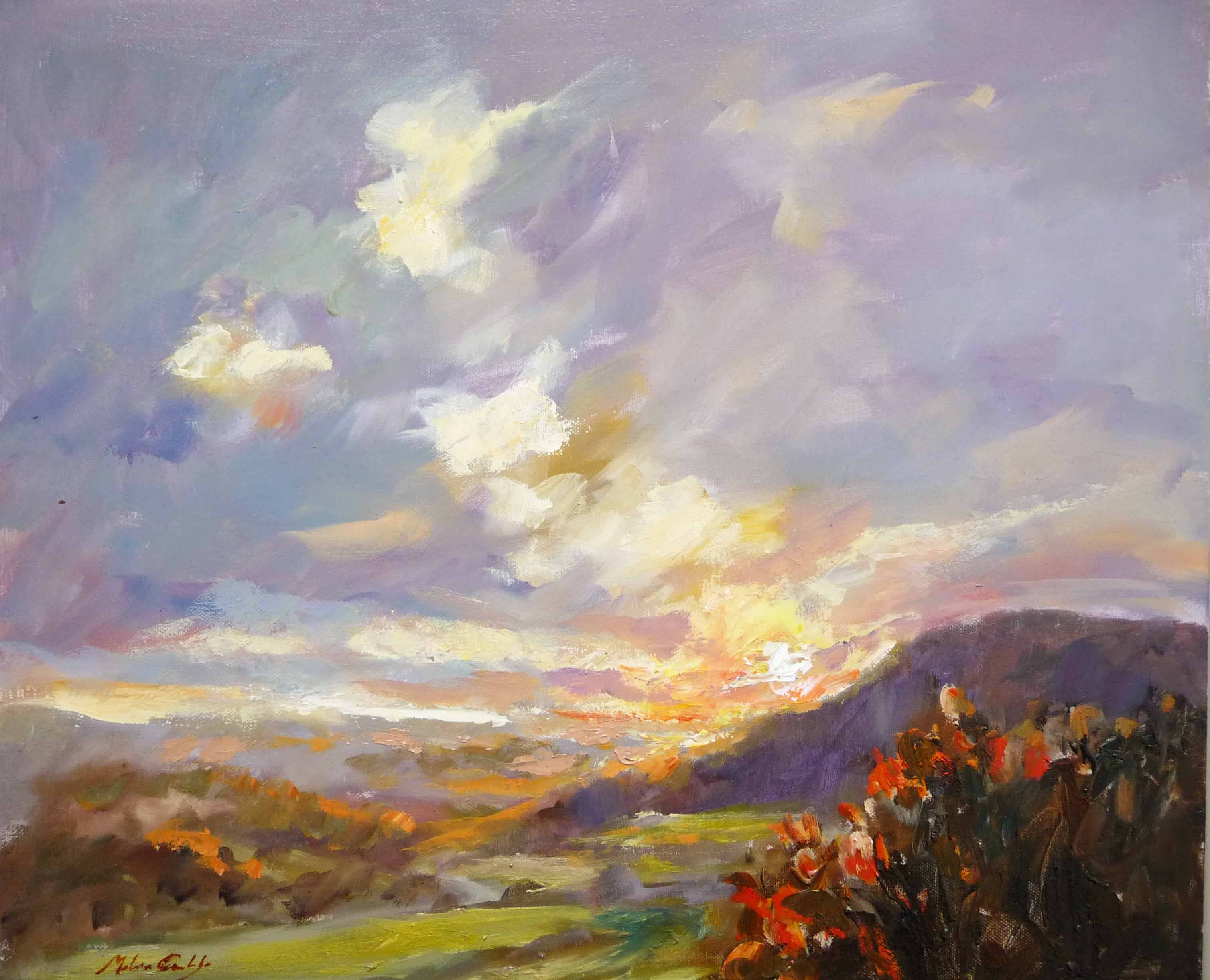 Sunset from the edge of the downs near to Reigate Hill