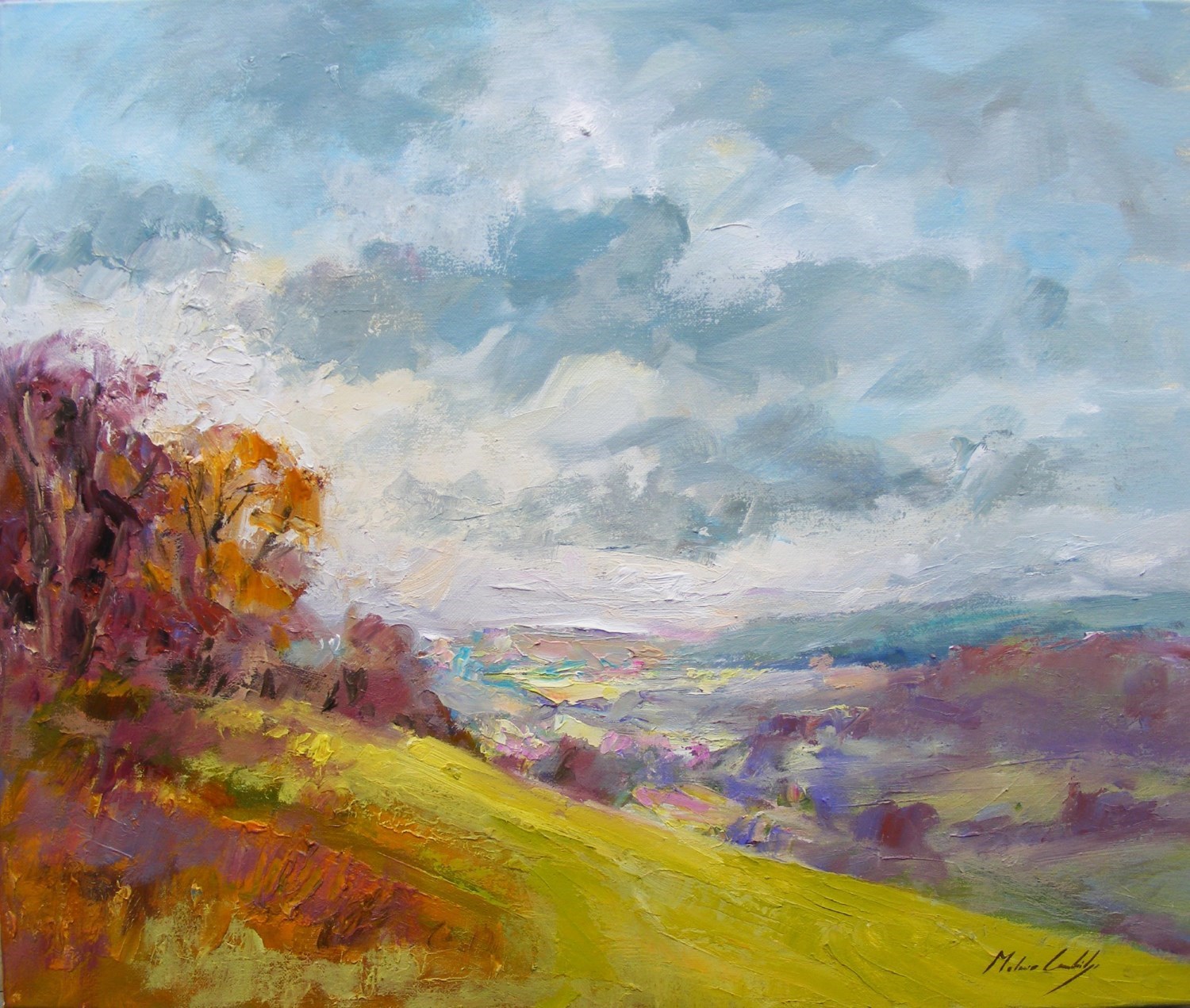 classic view from the top of Box Hill, Surrey