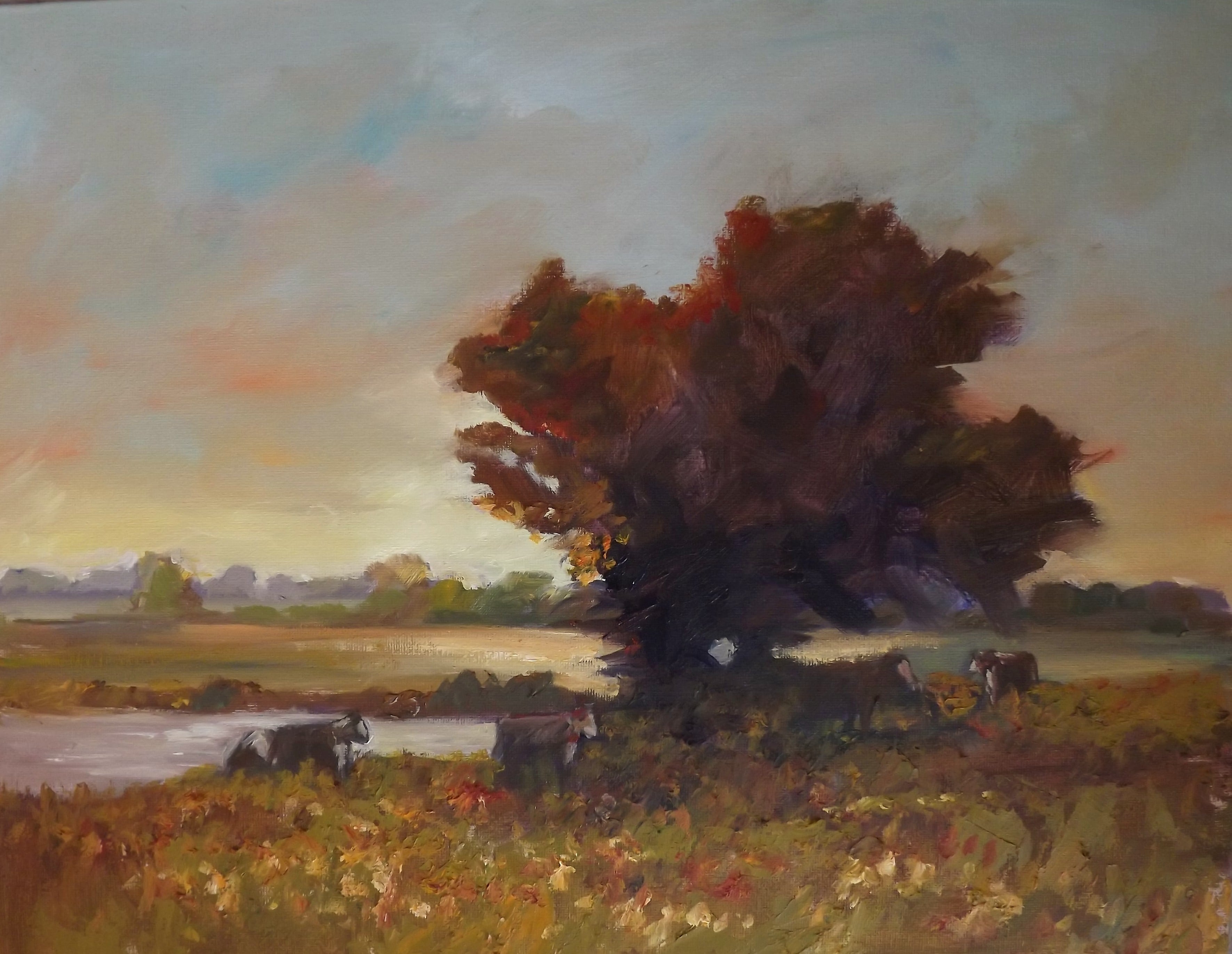 Cattle in a meadow at sunrise on the banks of the river Stour